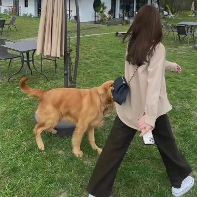 爸爸节的礼物